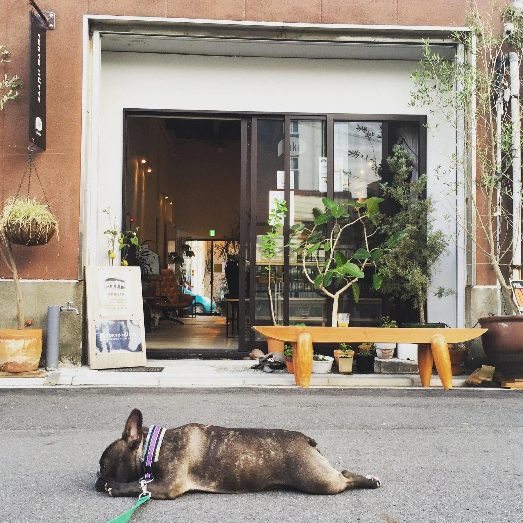 Хостел Tokyo Hutte Екстер'єр фото